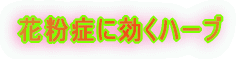 花粉症に効くハーブ