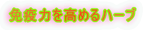 抵抗力を高めるハーブ