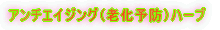 廊下予防のハーブ